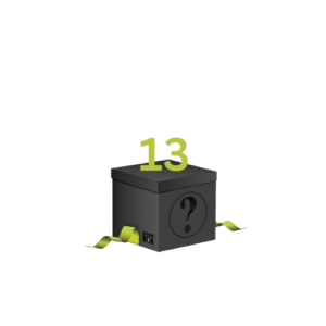 Mystery Box - 13